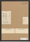 Schizonema pallidum (Ag.) Rabenh. (de-Toni-Nr.: Genus 20, Species 1200) Zeichnungen Sammlung Grunow Nr. 2307 (NHMW-BOT-W0369430)